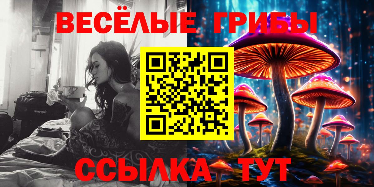 Псилоцибиновые грибы Cubensis  Вход с VPN  Сертолово 